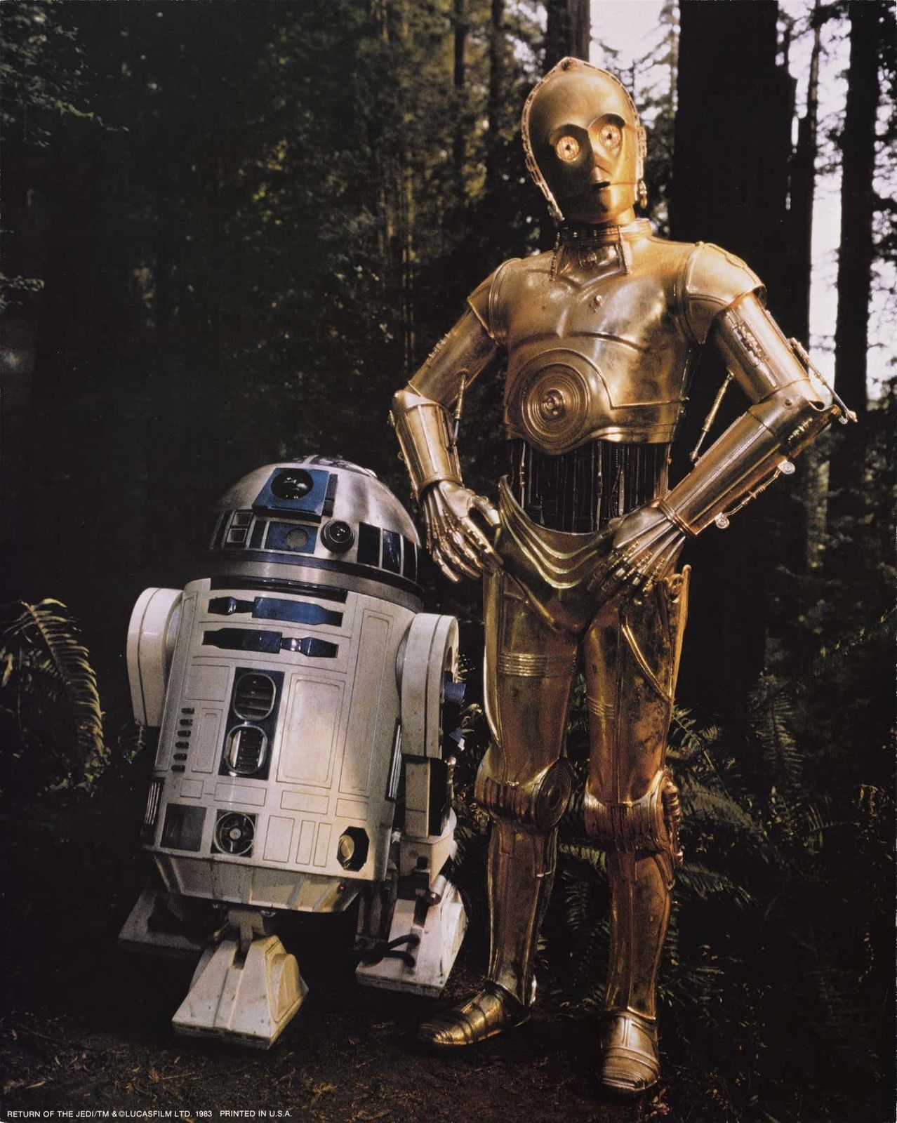 Original Us Oversized Still From The 1983 Third Star Wars Film Return Of The Jedi. photo Art