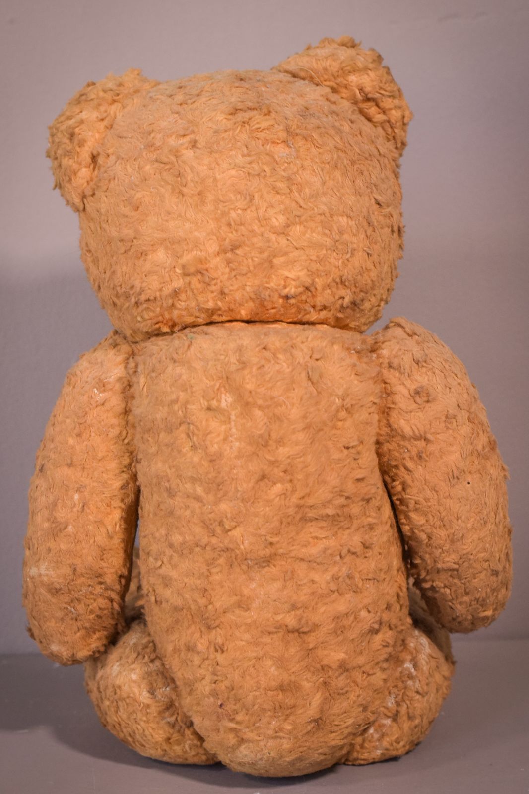 Teddy, Antique photo furniture