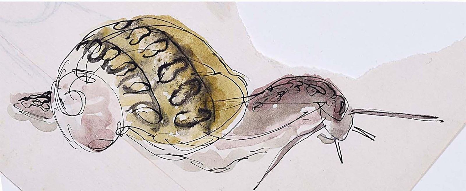 Rosemary Ellis Snail XVIII Watercolour Modern British Art Wildlife Mid Century C. 1950