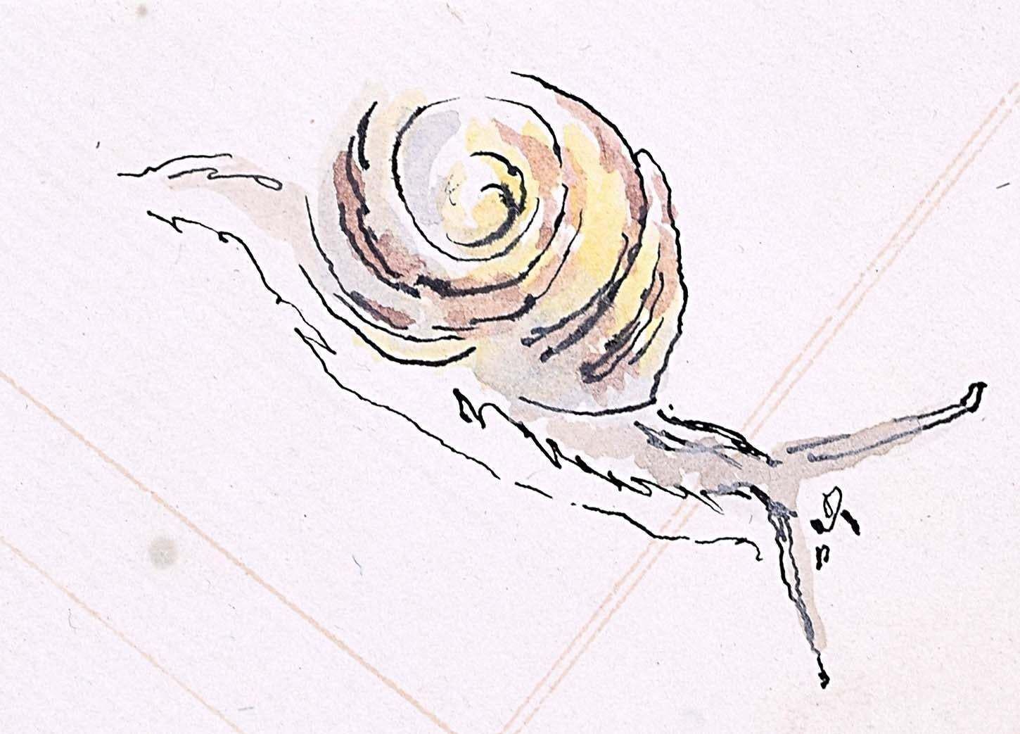 Rosemary Ellis Snail XVII Watercolour Mid Century Modern British Art Wildlife C. 1950
