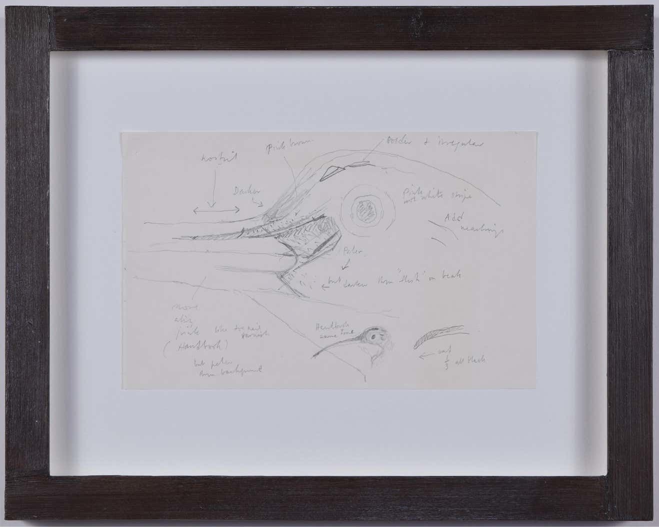 Clifford Ellis Curlew Pencil Sketch (C.1950) photo furniture