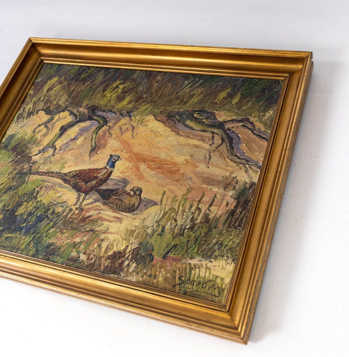 Oil Painting With Motif Of Pheasants And With Gilded Frame, With Unknown Signature From The 1930s. photo for sale