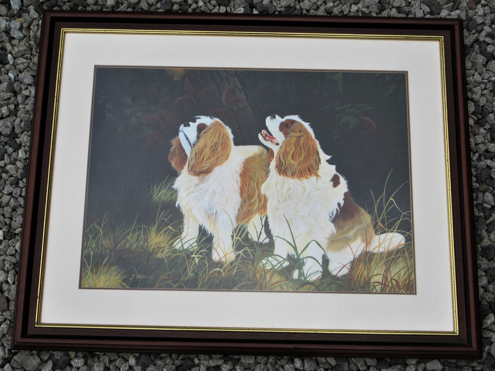 Large Acrylic On Board Painting Of Two Cavalier King Charles Spaniels By J. Stevenson Dated 2000.