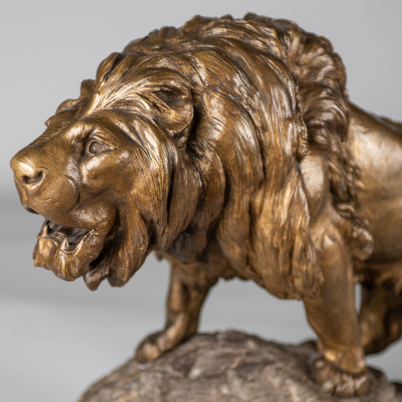 A Stunning French Large Bronze Sculpture Of A Roaring Lion Set On A Marble Base. Signed Le Courtier photo 5950.0