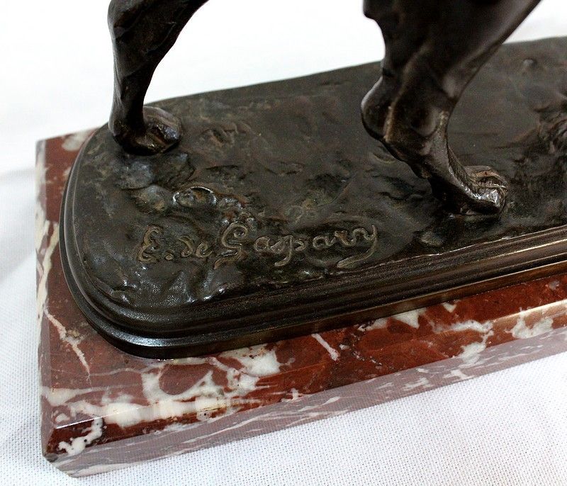 Art Bronze "Hunting Dog " By E. De Gaspary, Late 19th Century photo