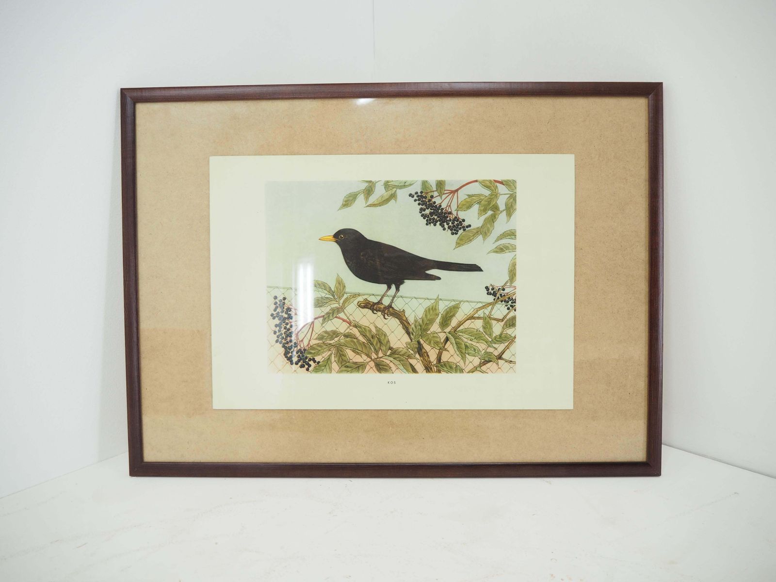 Midcentury School Poster, Czechoslovakia, 1960s photo furniture