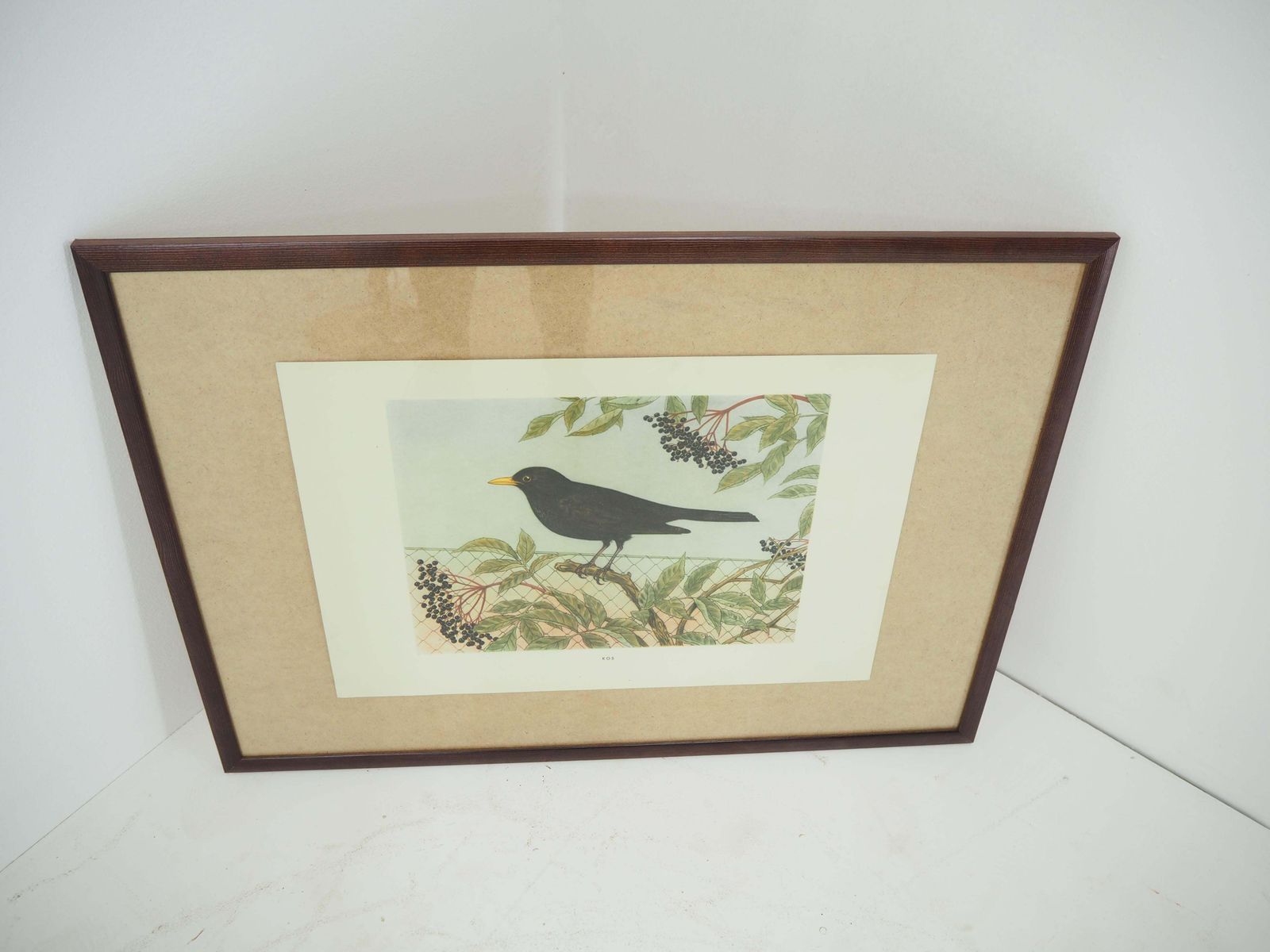 Midcentury School Poster, Czechoslovakia, 1960s photo 328.0
