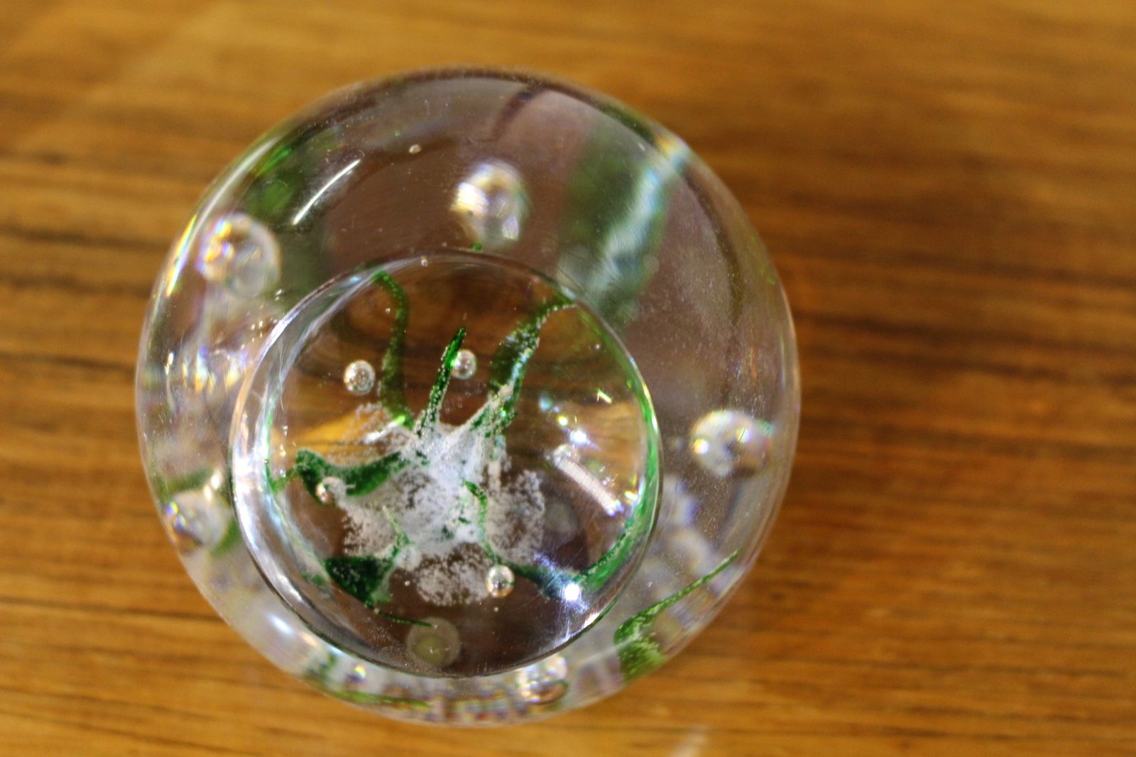 Kosta Glass Seaweed Paperweight Lh1809 By Vicke Lindstrand