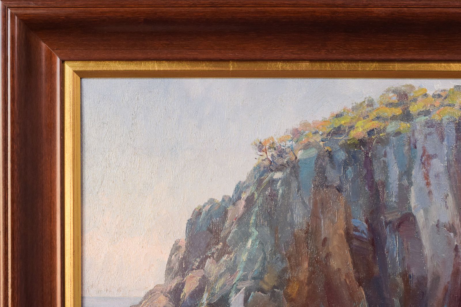 Ricard Tarrega Viladoms   Spanish Cala Landscape photo buy