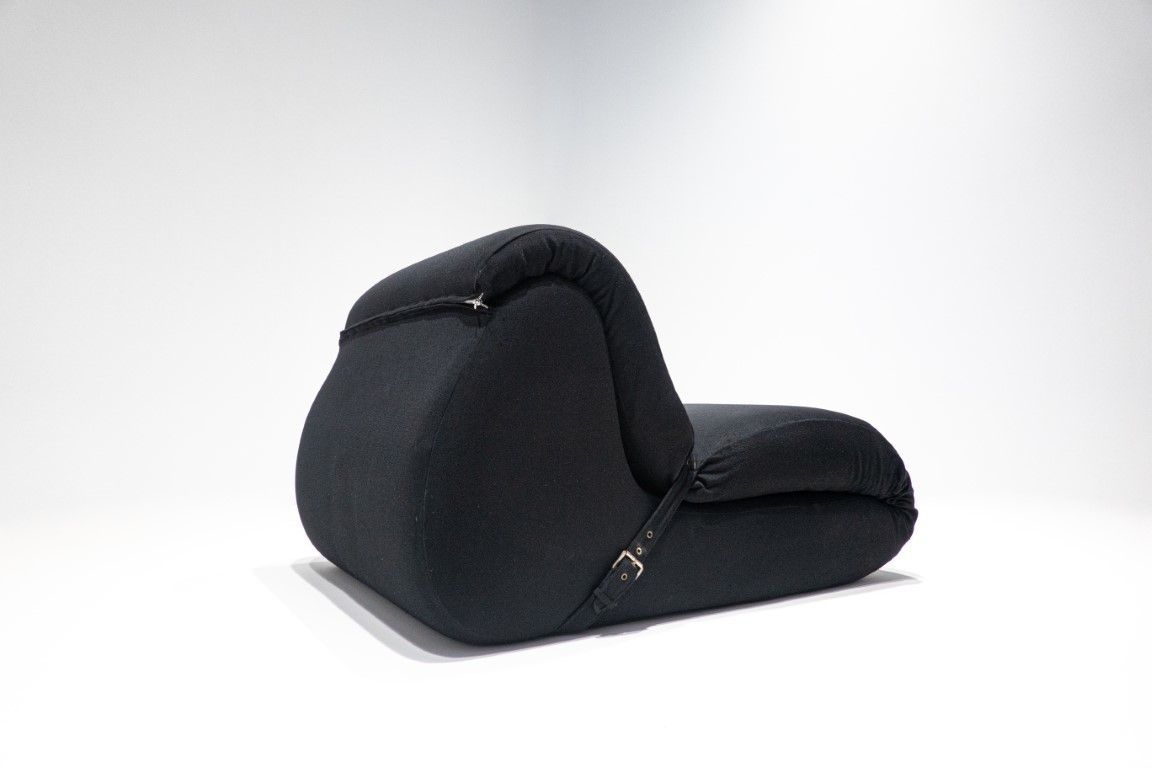 Furniture Sofa Bed By Umberto Catalano And Gianfranco Masi photo