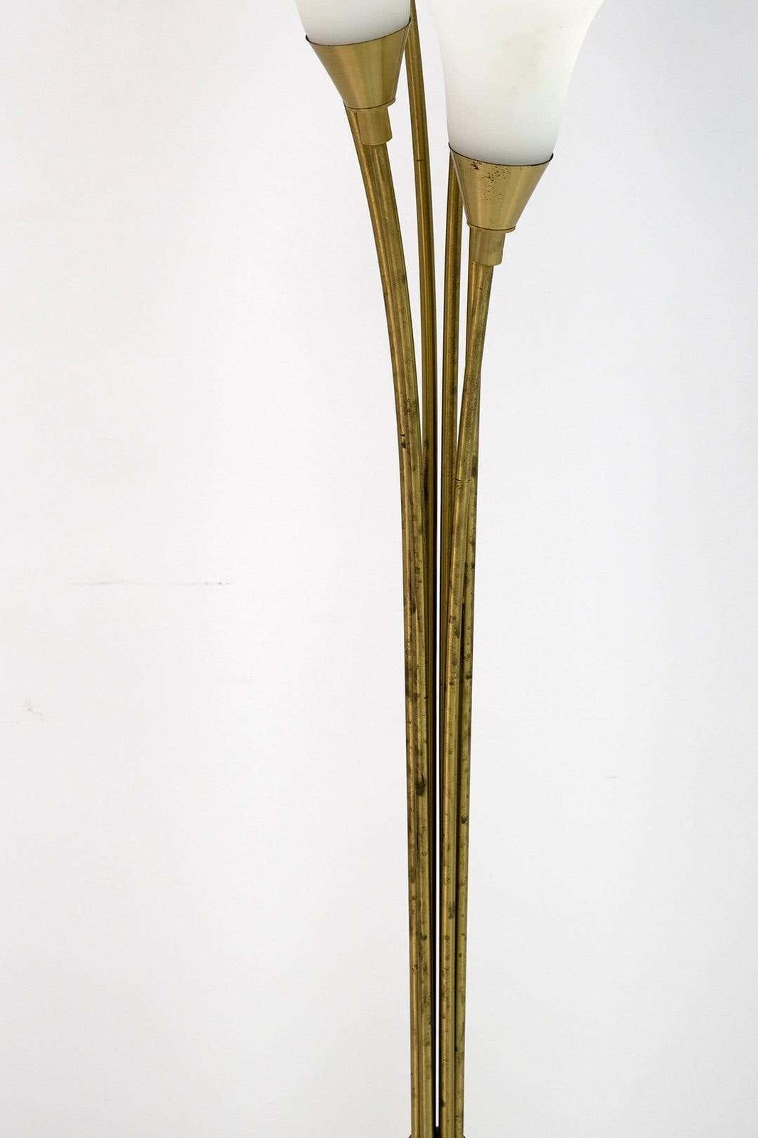 Mid Century Modern Italian Opaline Glass And Gilt Brass Tulip Floor Lamp, 60s photo buy