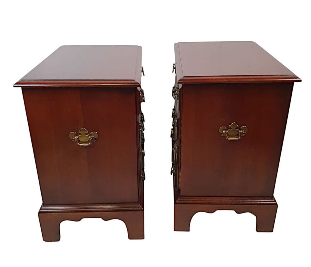 A Gorgeous Pair Of 20th Century Bedside Chests In The Georgian Manner photo for sale