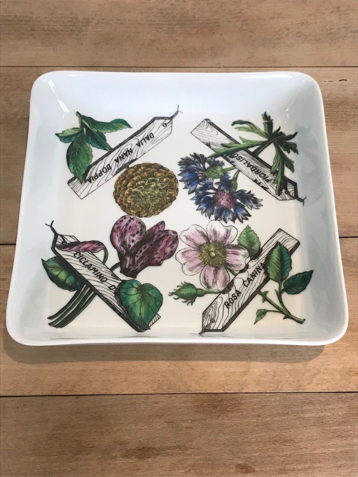 Super Rare Mid Century Modern Piero Fornasetti Botanica Pratica Porcelain Square Serving Bowl Or Dish