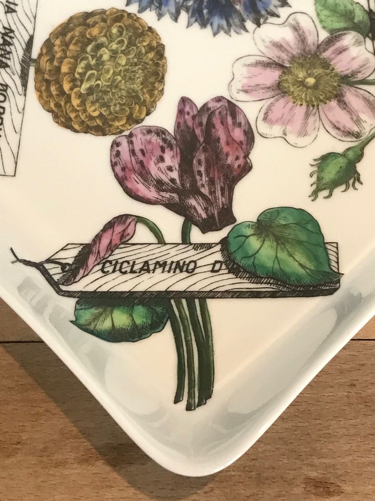 photo for sale Super Rare Mid Century Modern Piero Fornasetti Botanica Pratica Porcelain Square Serving Bowl Or Dish