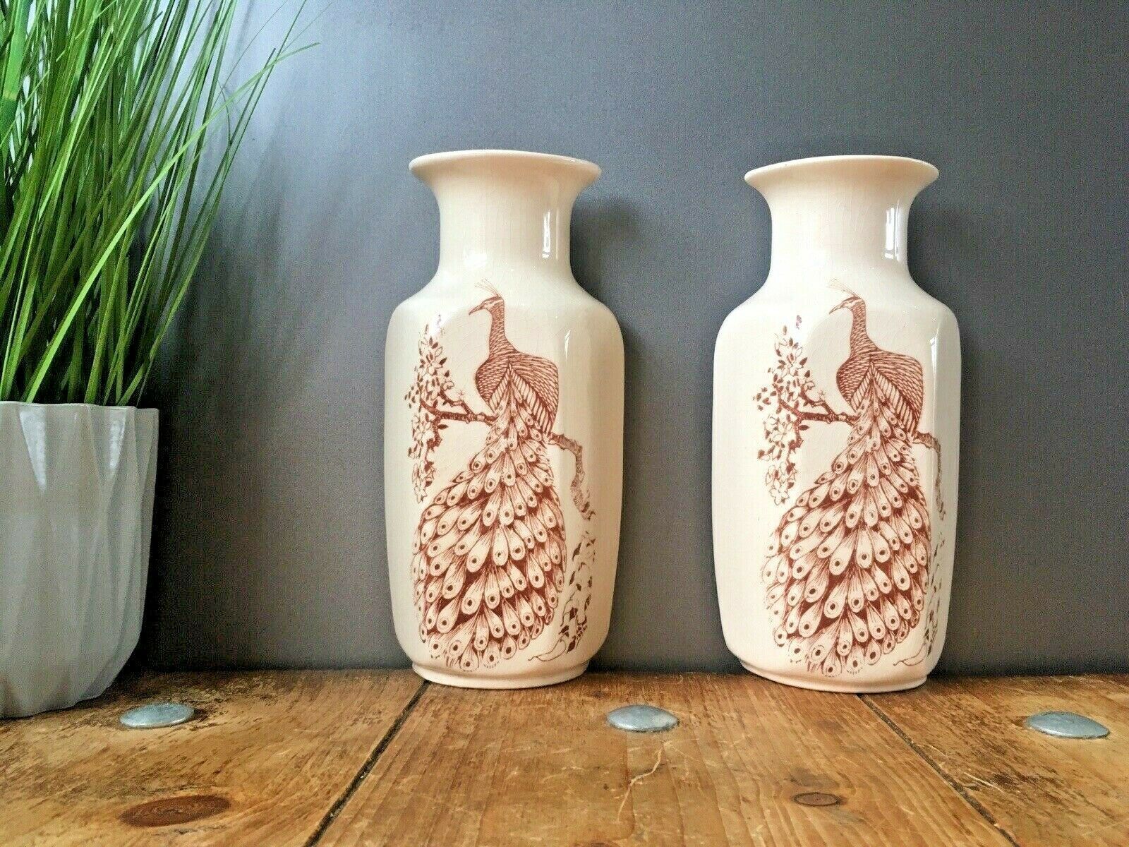 Pair Of Kingston Pottery Peacock Wall Plaque Pocket Vase Urns Aesthetic Movement photo Home Decor