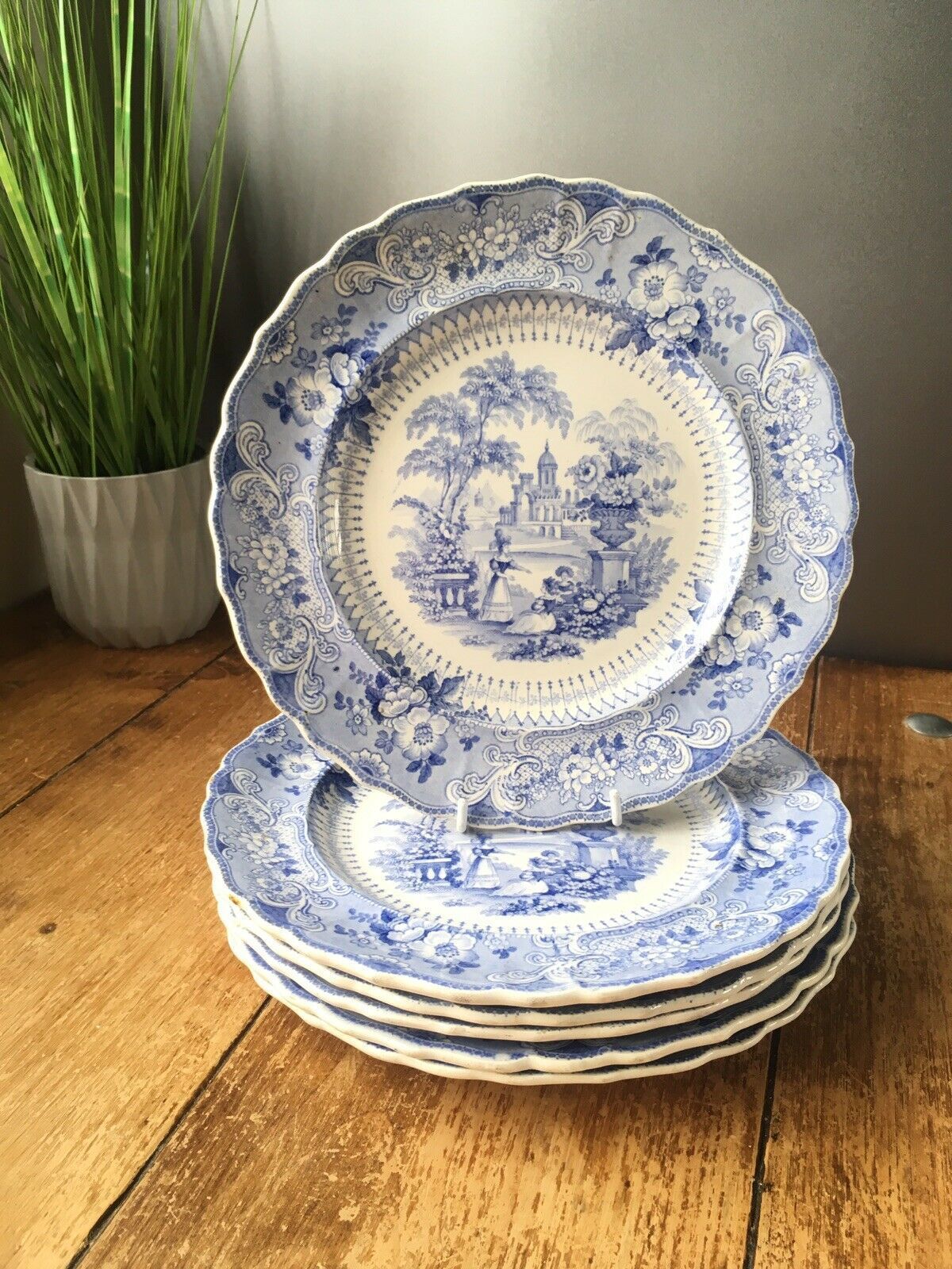 V.Rare Set Of 6 C1834 59 Podmore Walker & Co Pre Wedgwood Florentine Plates Pw