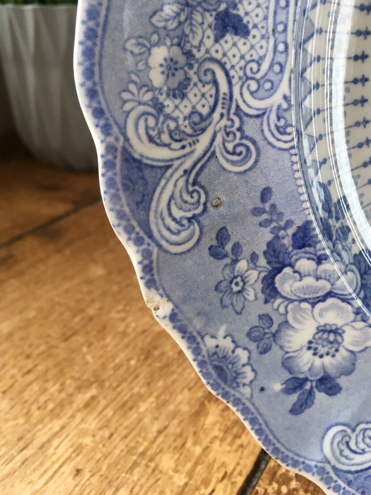 V.Rare Set Of 6 C1834 59 Podmore Walker & Co Pre Wedgwood Florentine Plates Pw photo vinterior
