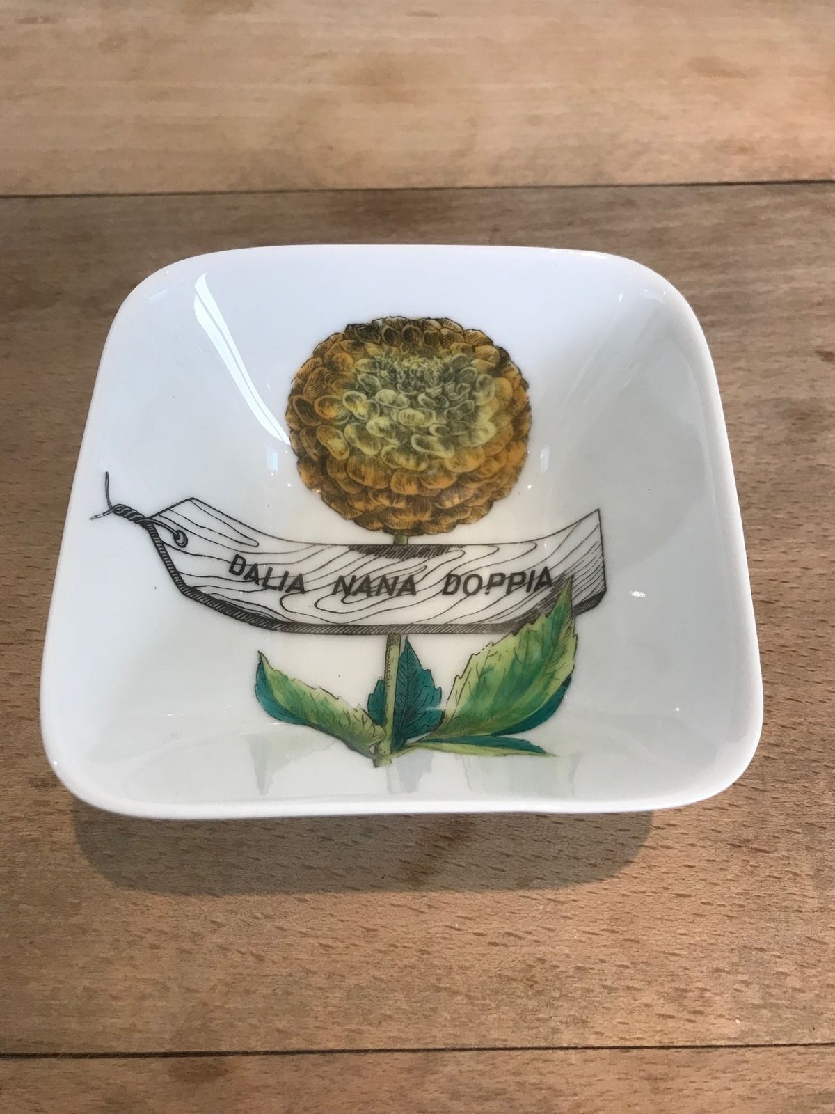 Super Rare Set Of Four Mid Century Modern Piero Fornasetti Botanica Pratica Porcelain Square Hors D'oeuvres Bowls Or Dishes photo buy