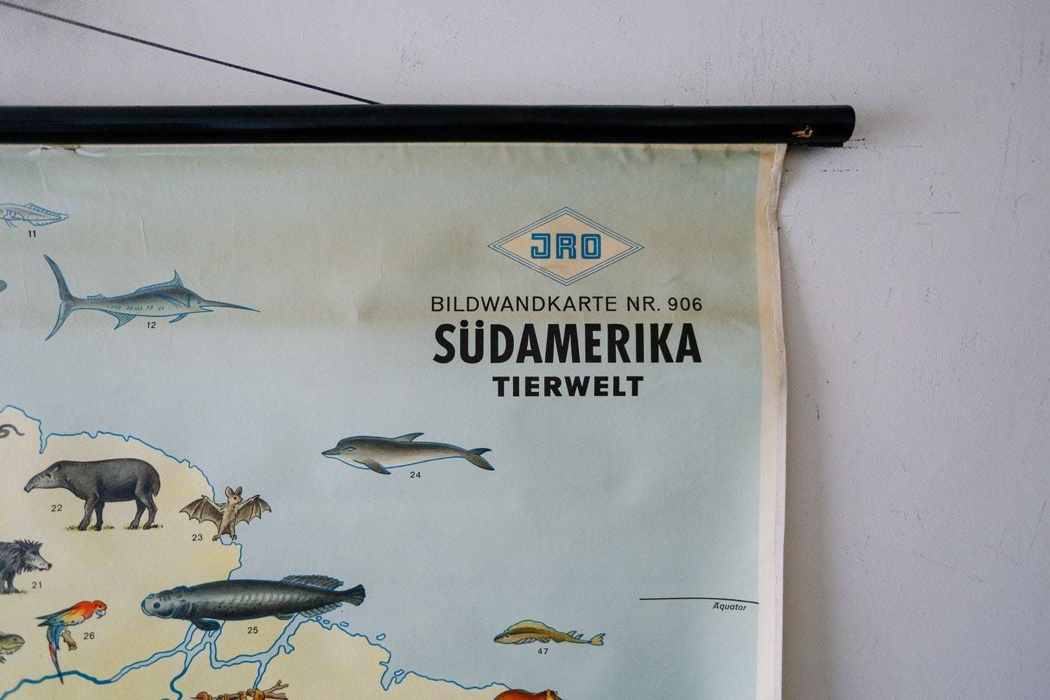 Original Vintage Mid Century German Educational School Wall Chart South America Map Land Use Wildlife Rare Jro photo vinterior