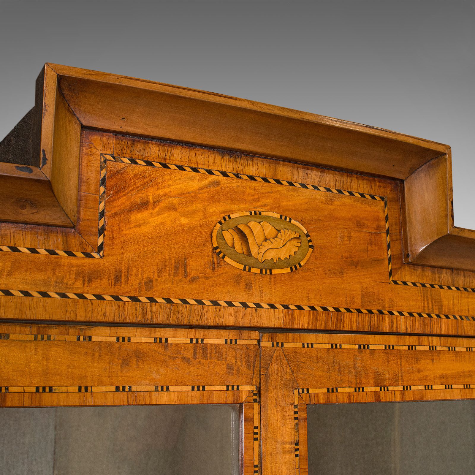 photo furniture Antique Showcase Corner Cabinet, Dutch, Satinwood, Display Case, 1880