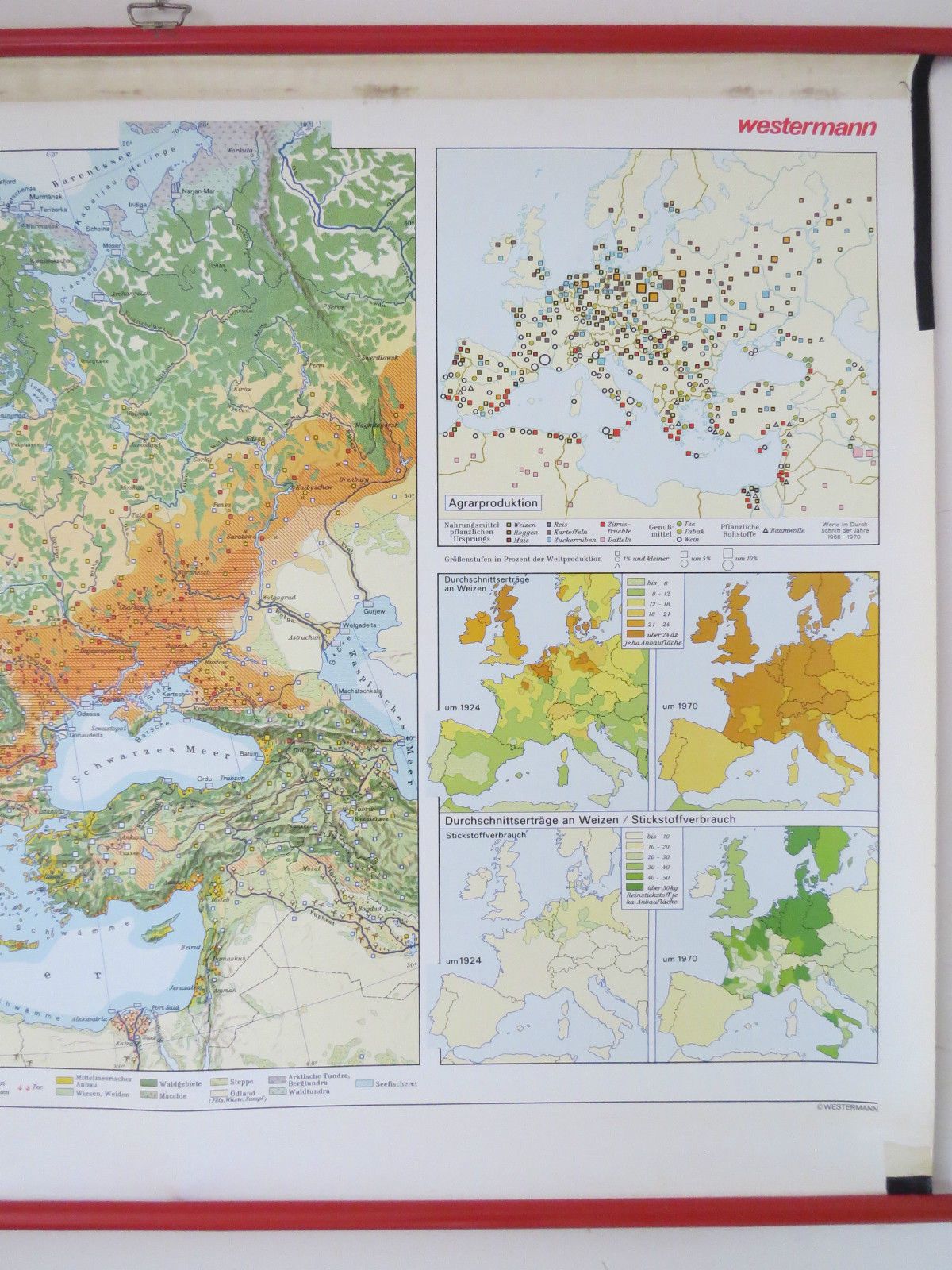 Vintage Pull Down Geographical School Wall Map Of Europe Agriculture Crops photo vinterior