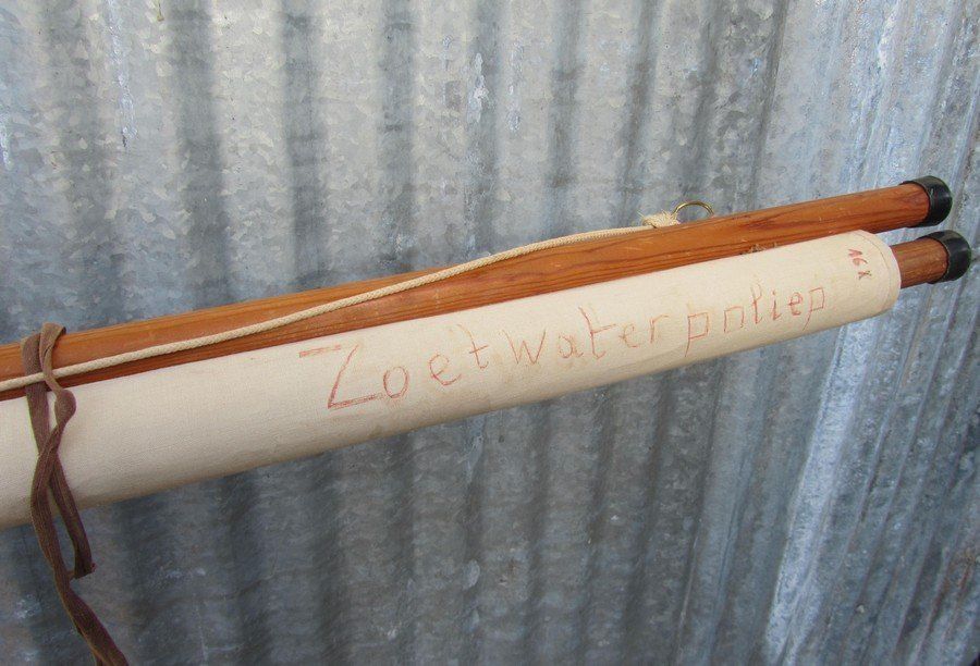 photo for sale Freshwater Polyp School Wall Chart From Hagemann / Jung Koch Quintell, 1960s