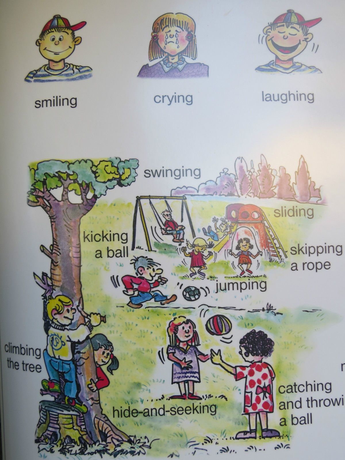 59.0 Roll Down School Wall Chart Of Basic English Language III Double Sided Lesson 3 photo