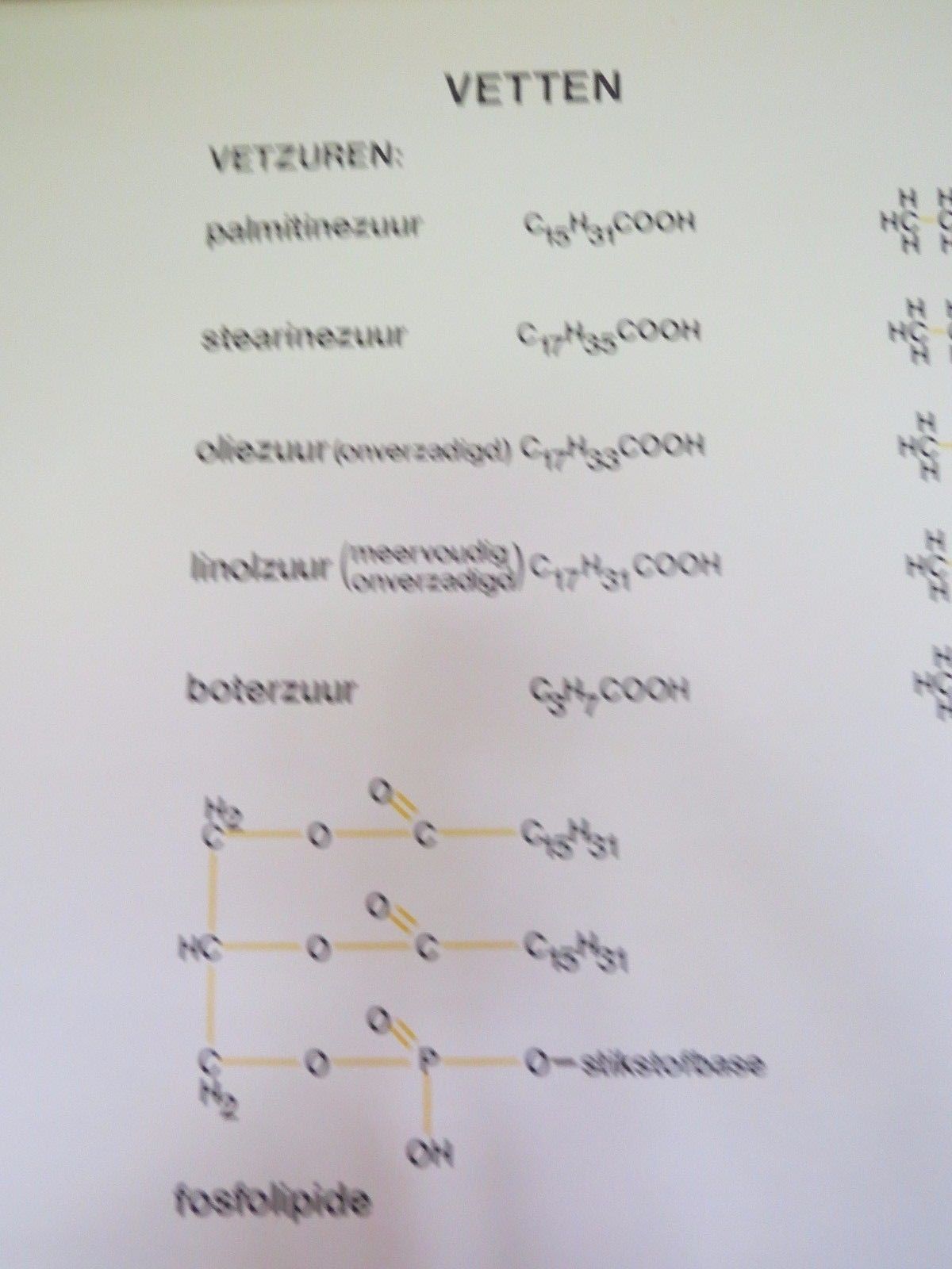 photo for sale Vintage Roll Down Medical School Biochemistry Chart Of The Structure Of Fats