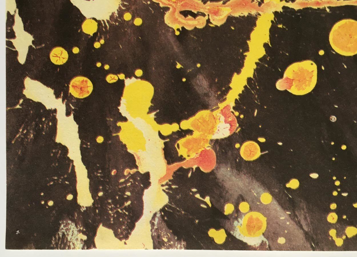 Original Film Poster, Going Ape!, Zdeněk Ziegler, 1983, Genuine Czech Vintage Print photo 51.0