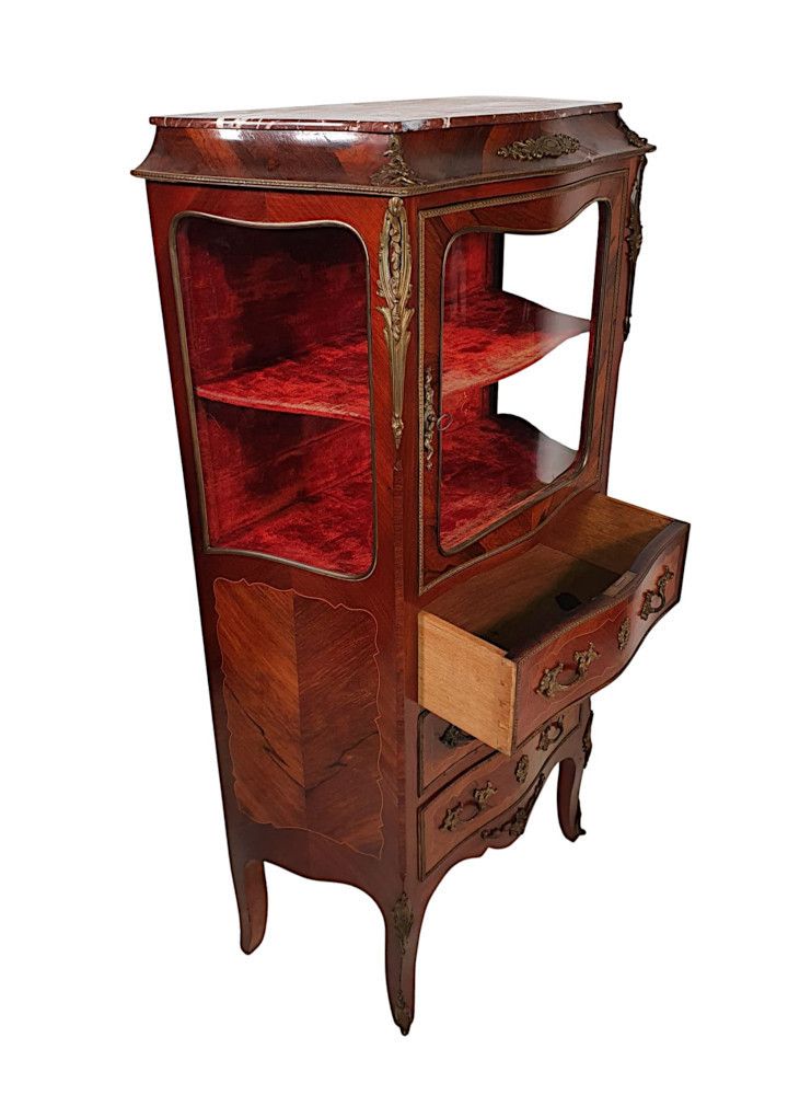 A Fine French 19th Century Serpentine Marble Top Display Cabinet photo Furniture