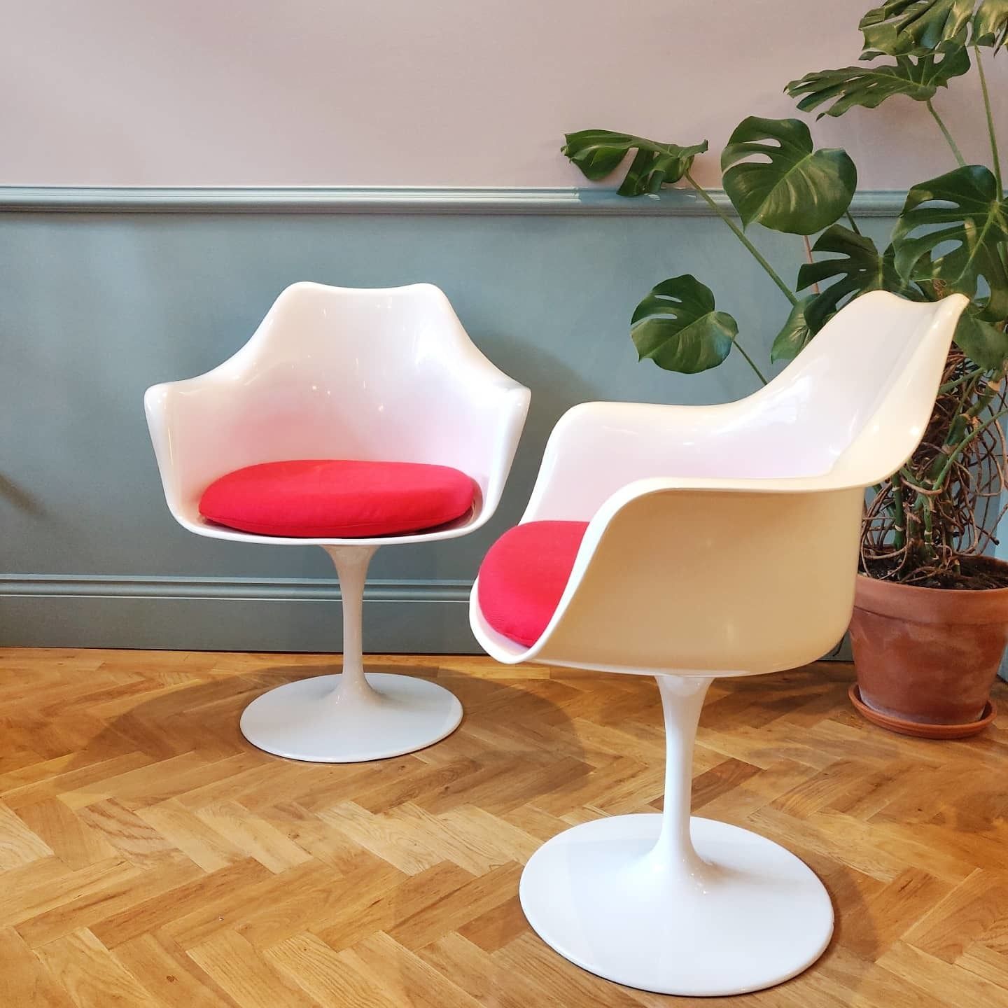 Mid 20th Century Rudi Bonzanini Tulip Chair