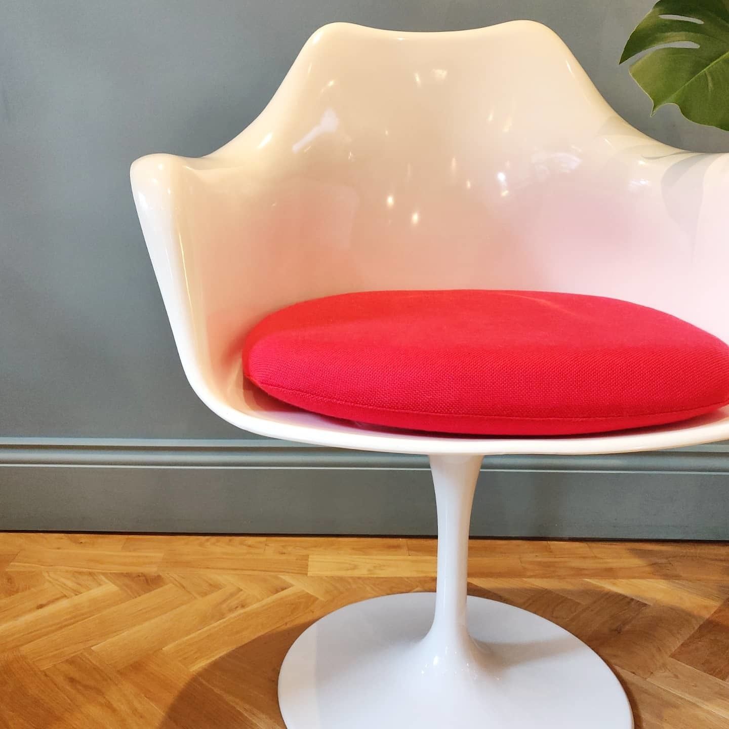 Mid 20th Century Rudi Bonzanini Tulip Chair photo Furniture