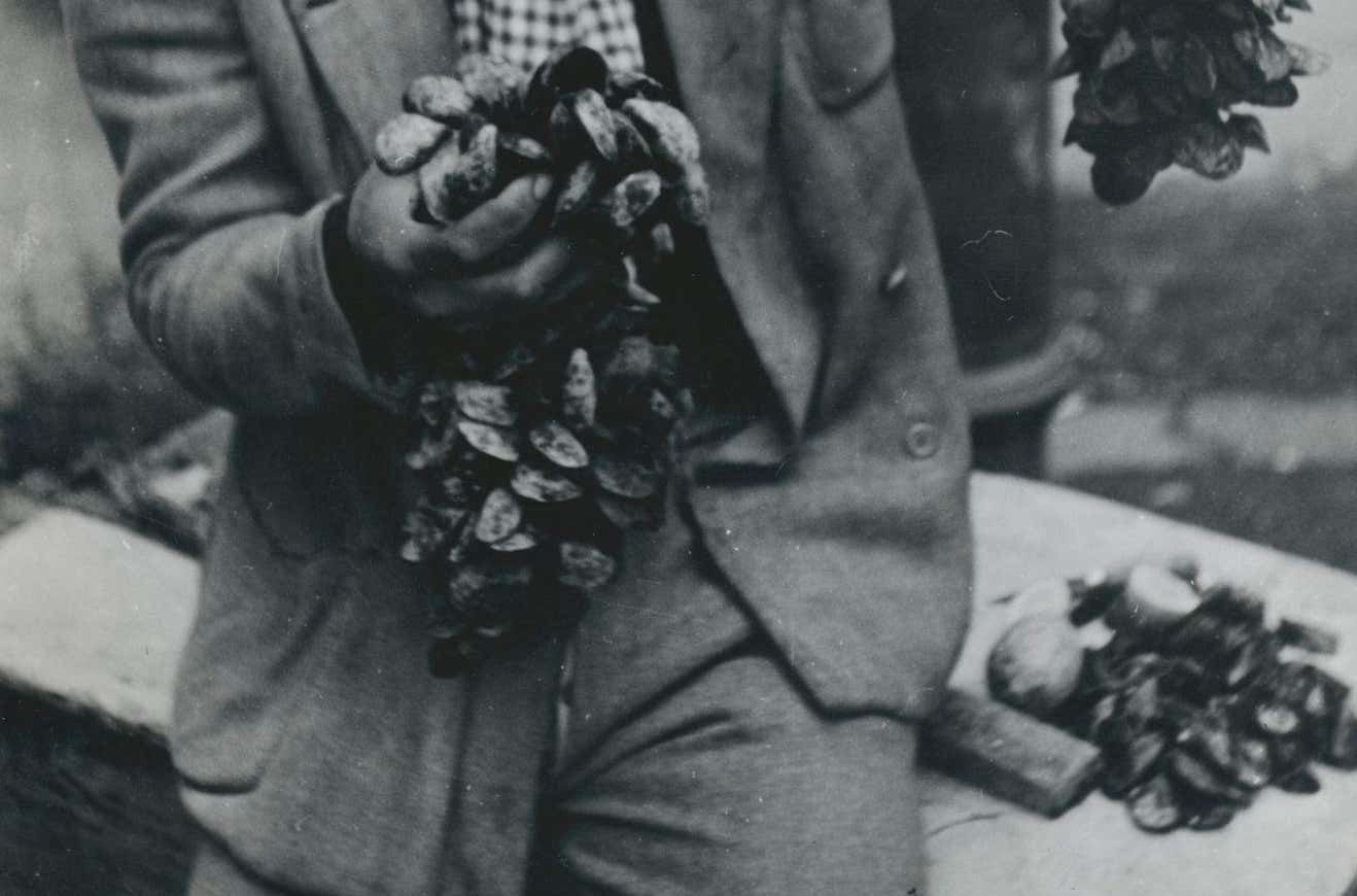 Erich Andres Man, Market, Street Photography, Silver Gelatine Print, Italy 1950s photo for sale