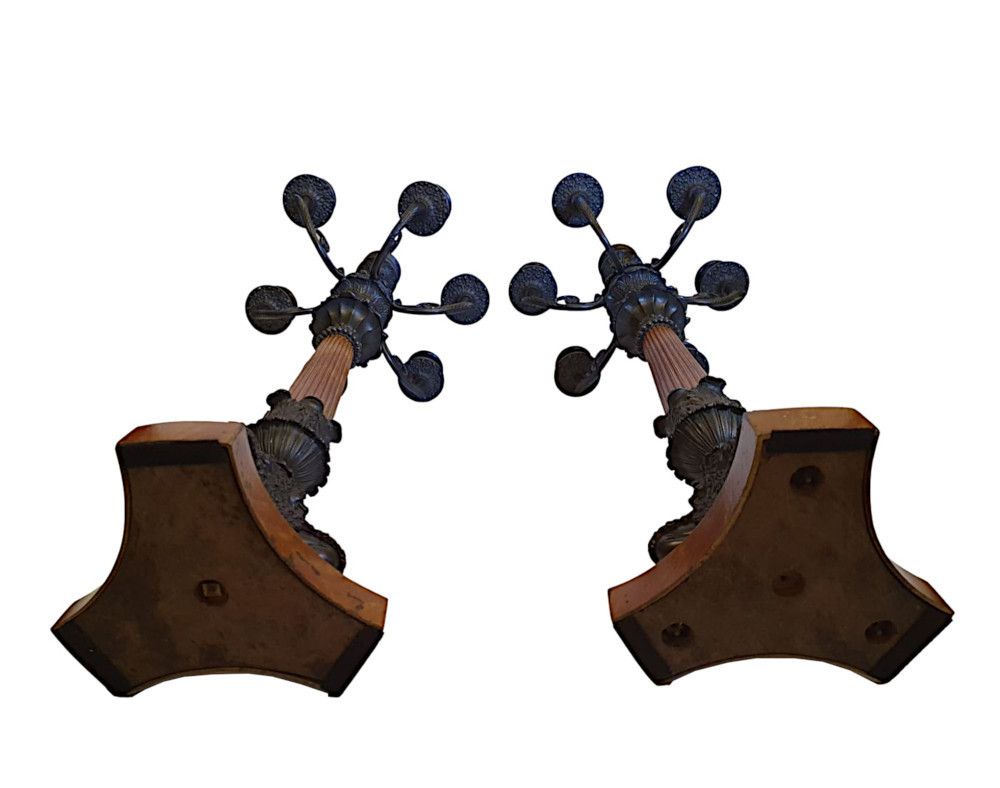A Rare And Fine Pair Of 19th Century Bronze Candelabra In The Empire Style photo vintage
