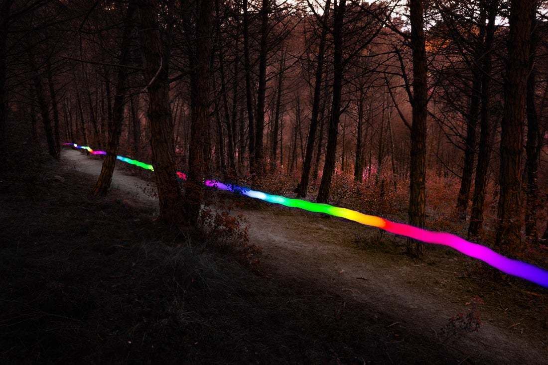"Colorful Light Trail Following Footpath At Dusk Between The Mediterranean Forest" By Artur Debat