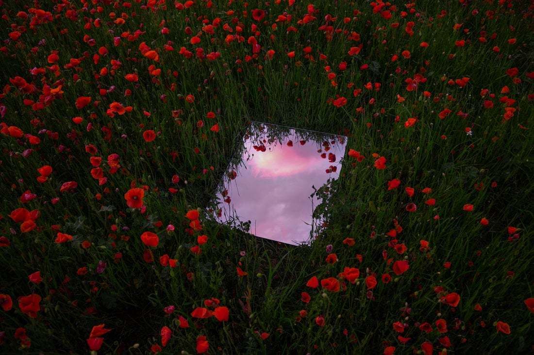 "Dream Like Picture Of Mirror Reflecting The Sunset Sky Between Red Poppies Field During Spring In Spai" By Artur Debat