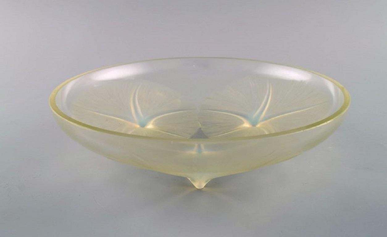 Early René Lalique Volubilis Bowl In Clear And Frosted Mouth Blown Art Glass photo 1153.0