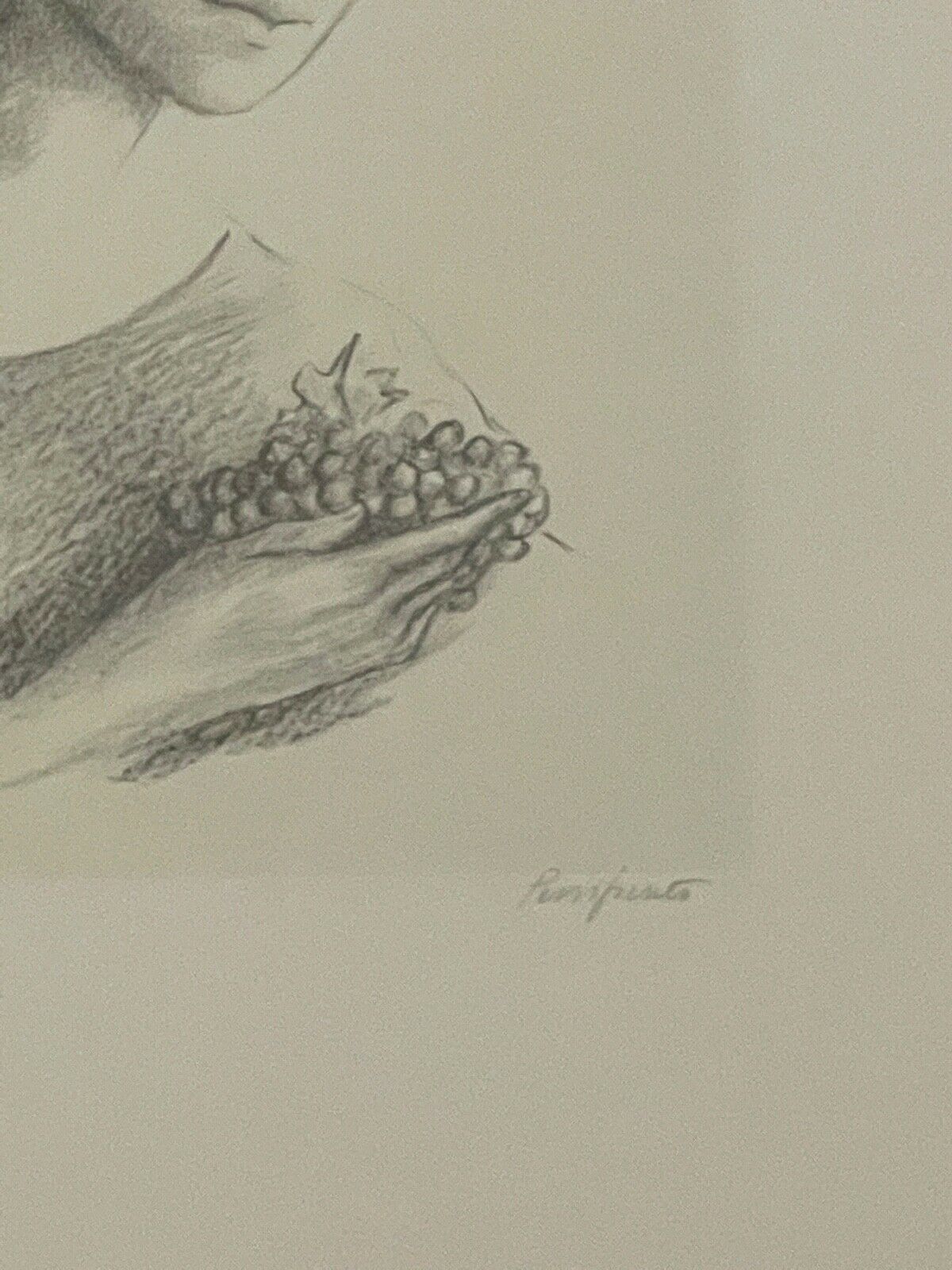 Lithography Domenico Purified To Marco Fittà photo for sale