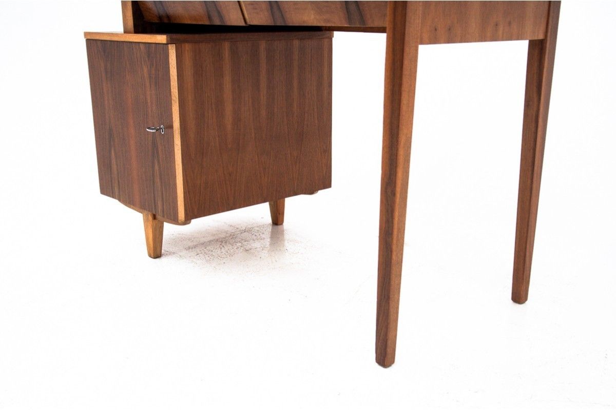 Furniture Vintage Desk, Designed By M. Puchała, Poland, 1960s. After Renovation. photo