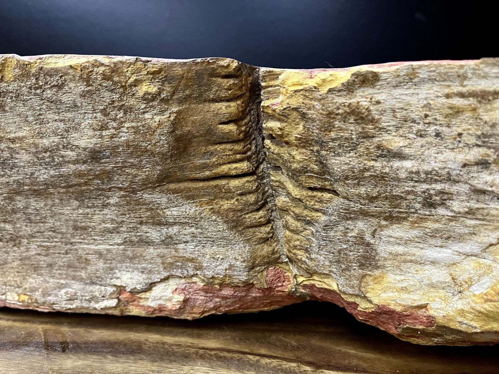 Petrified Wood Sink In Beige/ Grey/ Red & Yellow Tones, Top Quality, Organic Modern, 2021 photo for sale