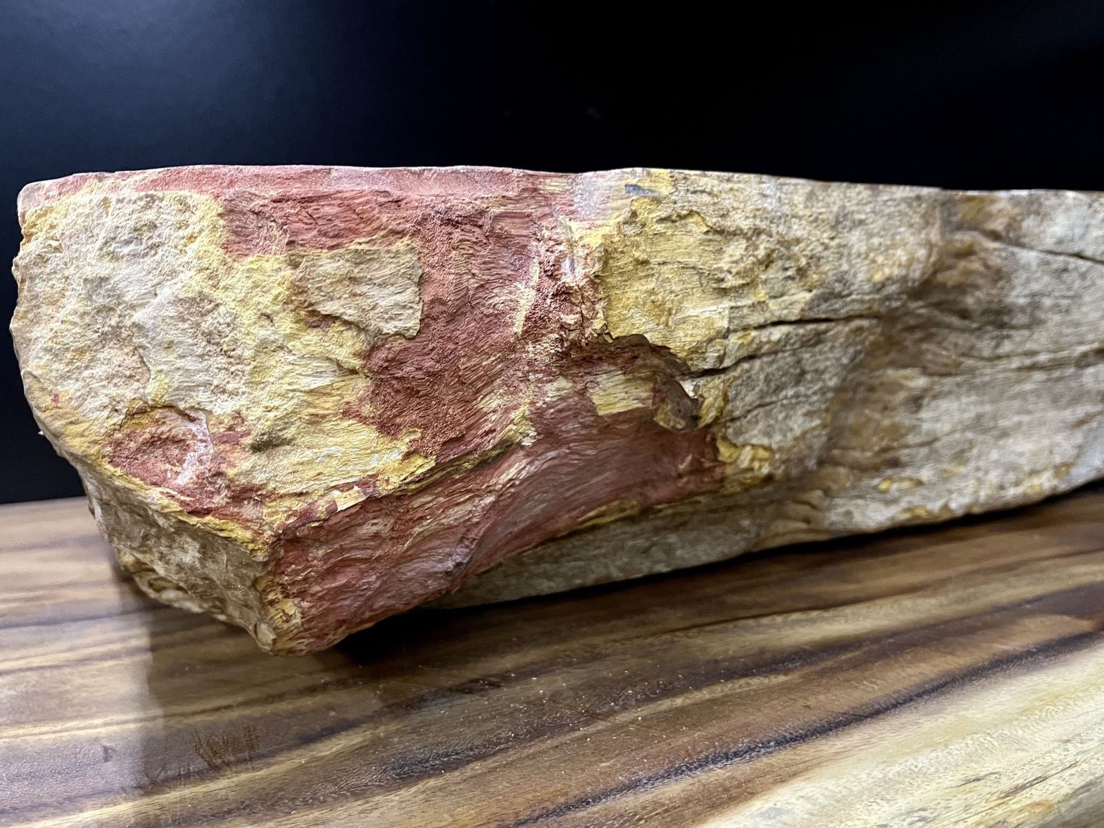 Petrified Wood Sink In Beige/ Grey/ Red & Yellow Tones, Top Quality, Organic Modern, 2021 photo Home Decor