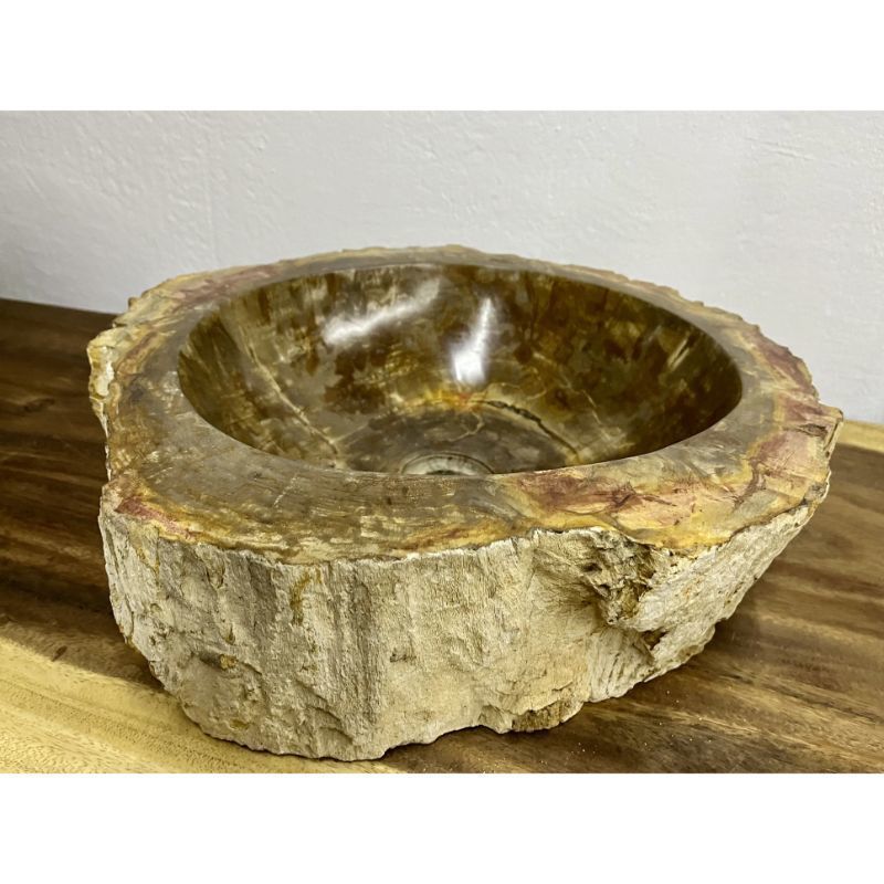 Petrified Wood Sink Brown/ Beige/ Yellow & Red Tones Polished Top Quality photo vintage