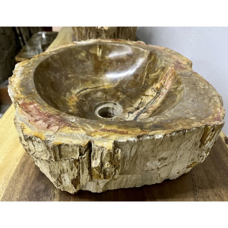 photo for sale Petrified Wood Sink Brown/ Beige/ Yellow & Red Tones Polished Top Quality