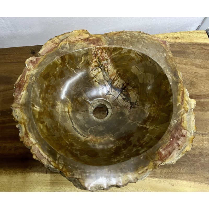 Home Decor Petrified Wood Sink Brown/ Beige/ Yellow & Red Tones Polished Top Quality photo