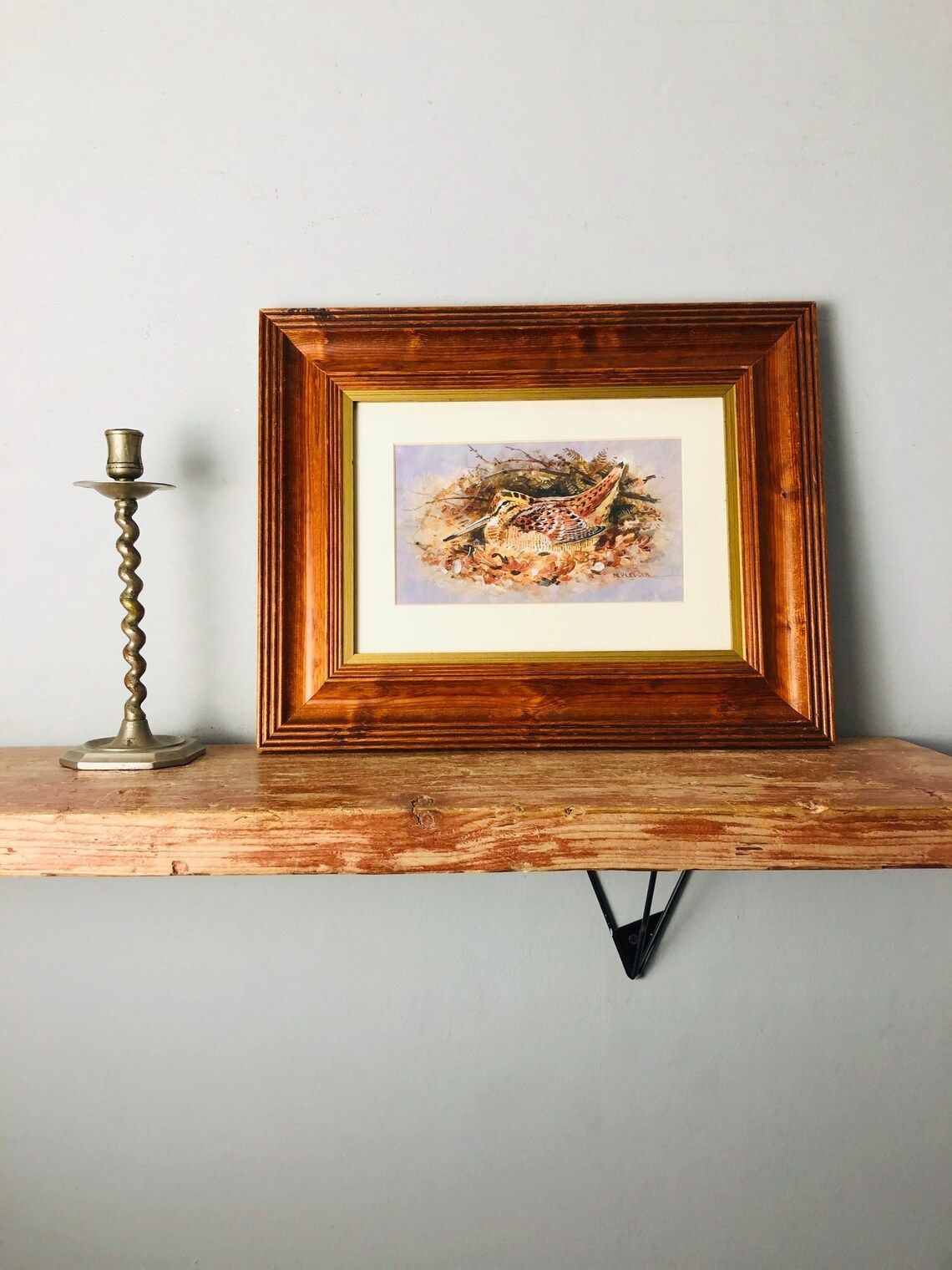 M Pledger Original Painting Wildlife Bird In Nest Autumnal Colours In Chunky Stained Pine Frame Vintage (P)