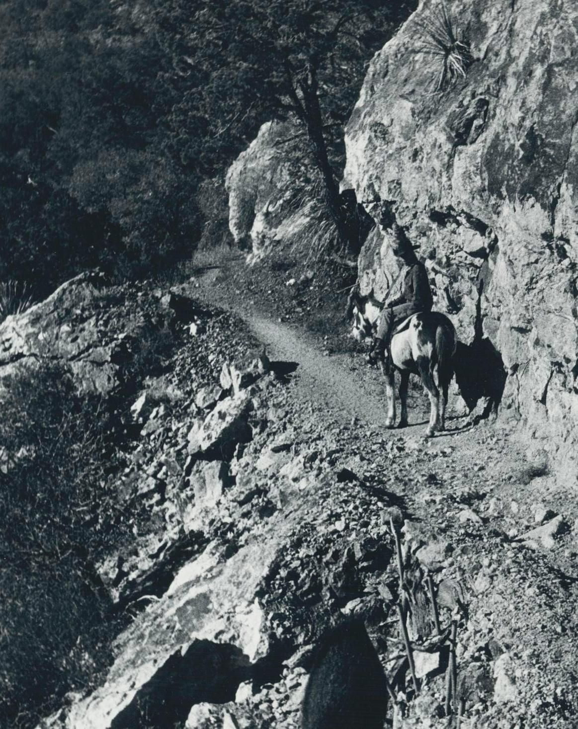 Cowboys On Horses, Black And White Photography photo furniture