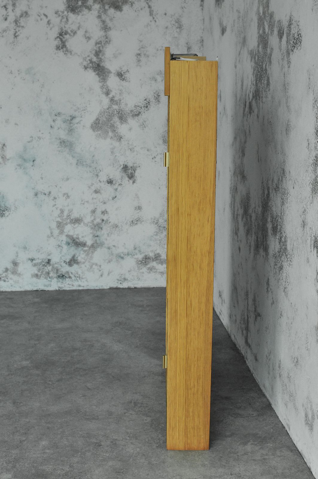 Anteroom Cabinet With Mirror Pine photo Furniture