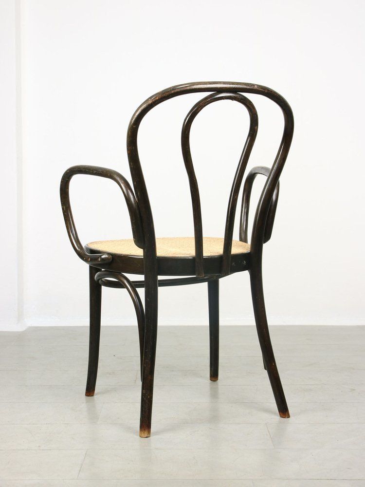 Black No. 218 Wide Armchair Chair By Michael Thonet photo Furniture