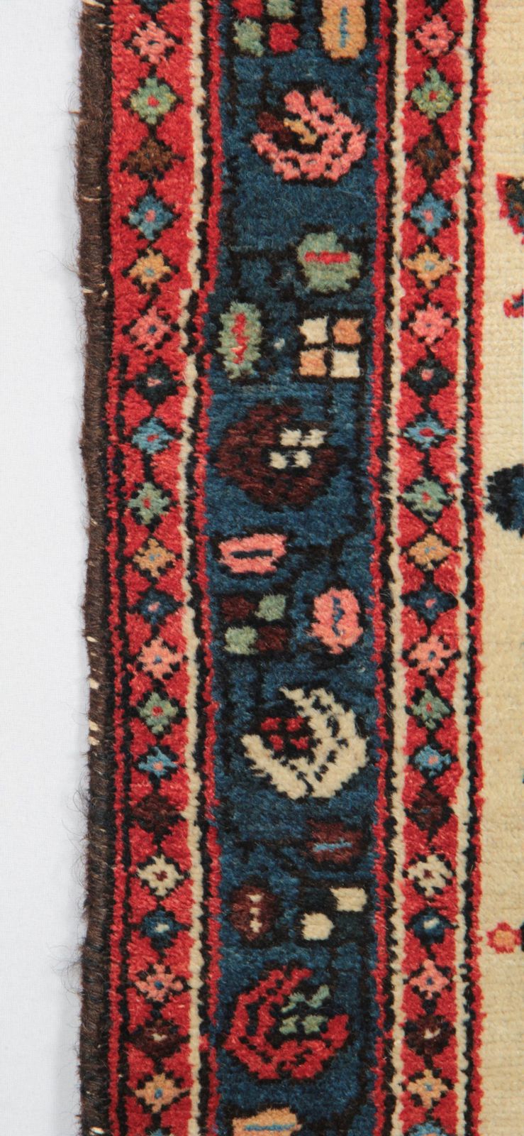 Handwoven Carpet Floral Living Room Traditional Rug photo vinterior