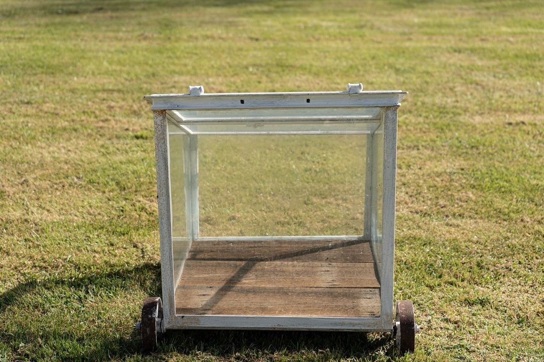 Mini Vintage Greenhouse/Cloche On Wheels – White photo vintage